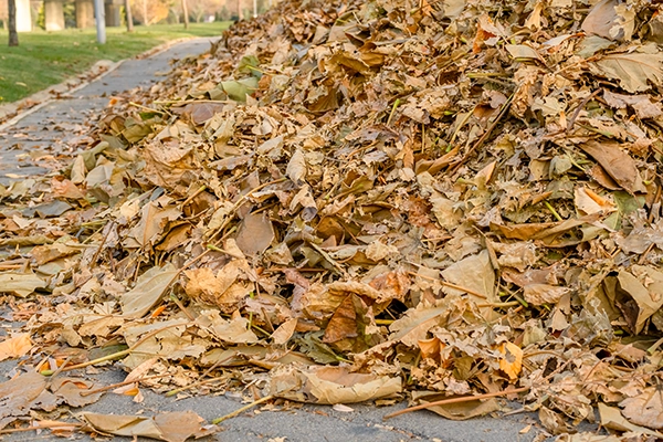 Déchets verts